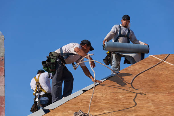 Best Storm Damage Roof Repair  in Henderson, KY